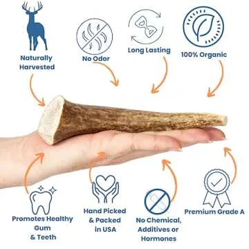 K9warehouse Natural Whole Elk Antlers for Dogs Large - Premium Dog Antler Chews - Long-Lasting Deer ...