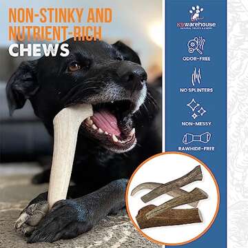 K9warehouse Natural Whole Elk Antlers for Dogs Large - Premium Dog Antler Chews - Long-Lasting Deer Antler for Dogs - Ideal for Aggressive Chewers - Healthy, Safe Antlers for Medium and Large Dogs