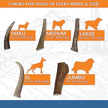 K9warehouse Natural Whole Elk Antlers for Dogs Large - Premium Dog Antler Chews - Long-Lasting Deer Antler for Dogs - Ideal for Aggressive Chewers - Healthy, Safe Antlers for Medium and Large Dogs