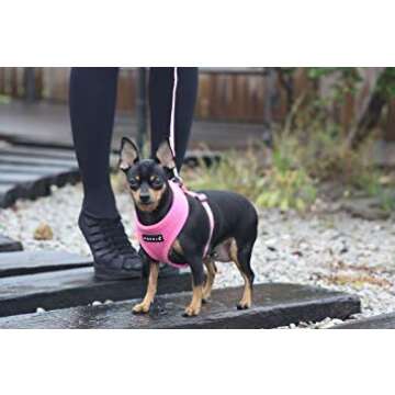 Puppia Soft Dog Harness No Choke Over-The-Head Triple Layered Breathable Mesh Adjustable Chest Belt and Quick-Release Buckle, Pink, Small