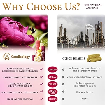 Beeswax Candle Making Kit for Family Crafting Fun