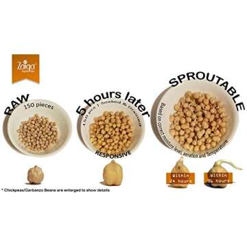 Zaiqa Chickpeas for Hummus & Homemade Chickpea Flour - 2 LBS, Dried Garbanzo Beans for Delicious Mediterranean Salad & Crispy Roasted Chickpeas | Comes Raw, Clean & Cooks Evenly | Grown in USA