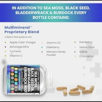 Clean Nutra Sea Moss with Black Seed Oil & Ashwagandha