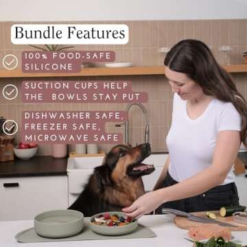 Should We Go? Complete Pet Feeding Set: Slow Feeder & Water Bowl with Spill-Proof Silicone Mat - Ide...