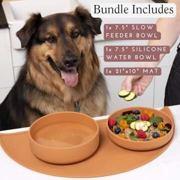 Should We Go Pet Feeding Set: Stylish Slow Feeder & Water Bowl