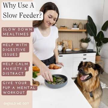 Should We Go Pet Feeding Set: Stylish Slow Feeder & Water Bowl