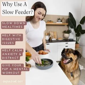 Should We Go Pet Feeding Set: Stylish Slow Feeder & Water Bowl