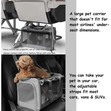 GAPZER Pet Carrier for Large Cats and Small Dogs