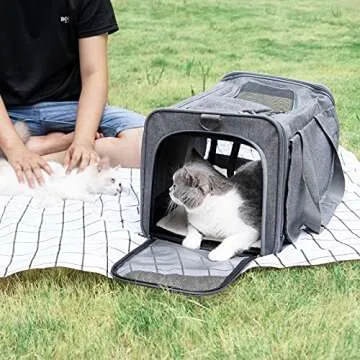 GAPZER Pet Carrier for Large Cats and Small Dogs