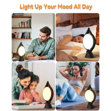 HIBOITEC 10000 Lux Light Therapy Lamp Adjustable Brightness