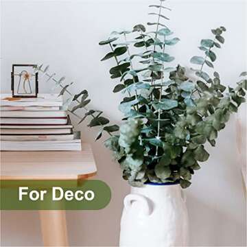 Eucalyptus Leaves,Eucalyptus for Shower,20Pcs Natural Dried Eucalyptus Bundle,17 inch Eucalyptus Stems,Preserved Fresh Eucalyptus Leave with a Fresh Aroma,Suitable for SPA,Wedding,Home Decoration.