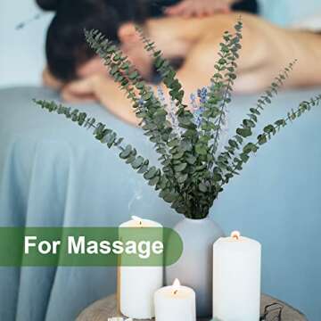 Eucalyptus Leaves,Eucalyptus for Shower,20Pcs Natural Dried Eucalyptus Bundle,17 inch Eucalyptus Stems,Preserved Fresh Eucalyptus Leave with a Fresh Aroma,Suitable for SPA,Wedding,Home Decoration.