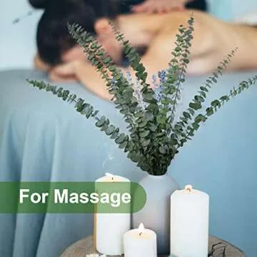 Eucalyptus Leaves,Eucalyptus for Shower,20Pcs Natural Dried Eucalyptus Bundle,17 inch Eucalyptus Stems,Preserved Fresh Eucalyptus Leave with a Fresh Aroma,Suitable for SPA,Wedding,Home Decoration.