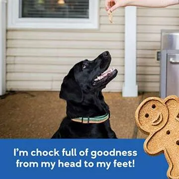 Buddy Biscuits Bacon & Cheese Treats - Healthy Dog Snacks