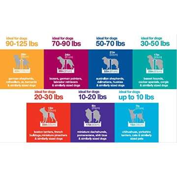 Petmate Pet Porter Fashion Dog Kennel 19", Scuba Blue, for Pets up to 10lbs, Made in USA