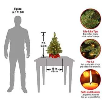 National Tree Company Pre-lit Artificial Mini Christmas Tree | Includes Small Lights and Cloth Bag Base | Majestic Fir - 2 ft