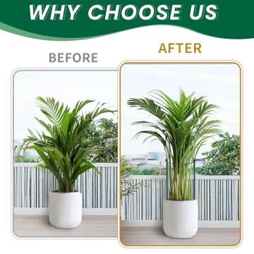 TCBWFY 10 Pack Plant Support Stakes for Heavy Plants