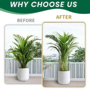 TCBWFY 10 Pack Plant Support Stakes for Heavy Plants