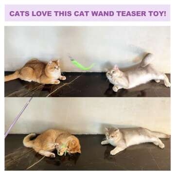 11PCS Cat Wand Toy, Cat Toys Interactive for Indoor Cats, 2 Retractable Cat Wand, 7 Worm Cat Teaser Toys and 1 Plush Fish Cat Toy, Cat Feather Toys for Play Chase Exercise with Kitten, Extra 1 Line