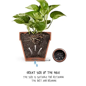 Durable 2-Inch Mesh Pads for Plant Pots | 50-Pack