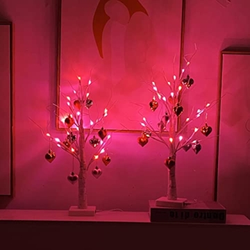 Efunly Lighted Birch Tree with Heart Ornaments for Valentine's Decor