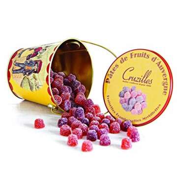 Cruzilles Pâtes de Fruits d’Auvergne Imported Assorted French Fruit Jelly Candies in Metal Tin (Assorted, 8.8oz)