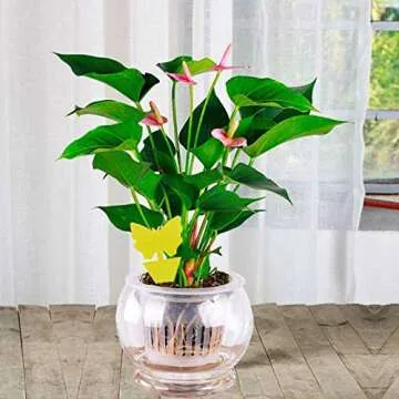 Faicuk Butterfly Sticky Traps for Plants - 20 Pack