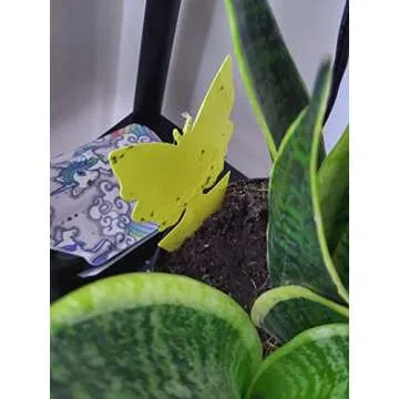 Faicuk Butterfly Sticky Traps for Plants - 20 Pack