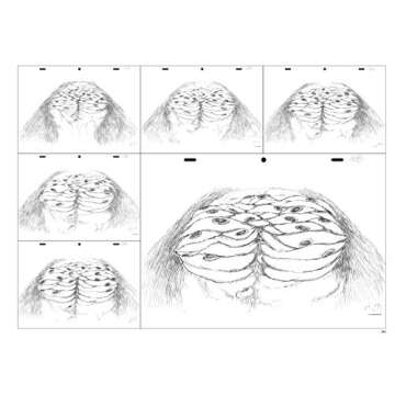 Children of the Sea Key Animation - Exclusive Japanese Edition