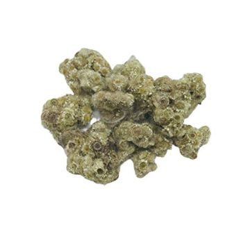 Mullein Dried WHOLE Flowers for Natural Tea Benefits