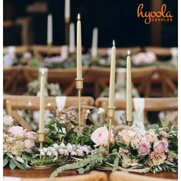 Elegant Hyoola 12 In Dripless Taper Candles for Events