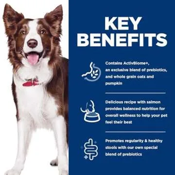 Premium Salmon Dog Food for Digestive Wellness 12 lbs