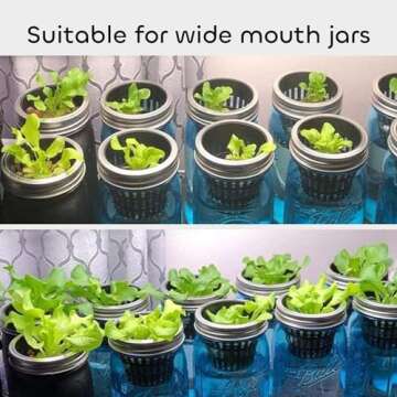 GROWNEER Net Pots 25 Pcs 3 Inch Garden Slotted Mesh Net Cups, Heavy Duty Hydroponic Supplies with 50Pcs Plant Labels, Planting Grow Basket for Indoor Outdoor Aquaponics Growing Bucket