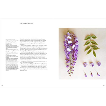 The Accidental Botanist - Explore Floral Anatomy in Detail