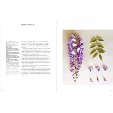 The Accidental Botanist - Explore Floral Anatomy in Detail