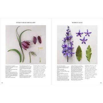 The Accidental Botanist - Explore Floral Anatomy in Detail