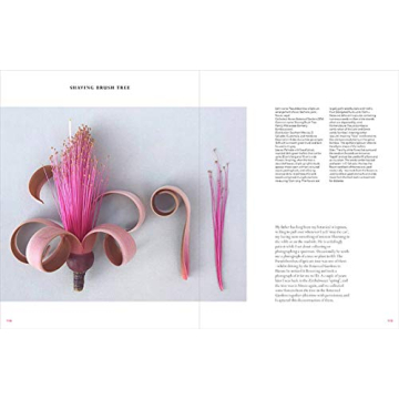 The Accidental Botanist - Explore Floral Anatomy in Detail