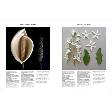 The Accidental Botanist - Explore Floral Anatomy in Detail