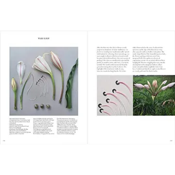 The Accidental Botanist - Explore Floral Anatomy in Detail