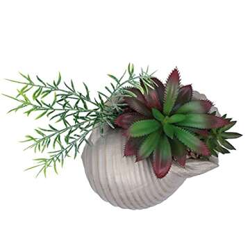 Faux Succulents in Conch Sea Shell Home Decor,Coastal Beach Decorations for Home Bathroom Ocean Seashell Decor Series for Home Beach Decor Theme Party Favors (Without Drainage Hole)