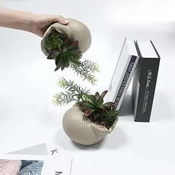 Faux Succulents in Coastal Conch Shell Home Decor