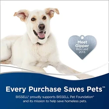 Bissell Pet Stain Eraser Cordless Handheld Carpet Cleaner