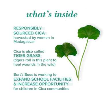 Natural Acne Solutions Gel Cleanser for Clear Skin