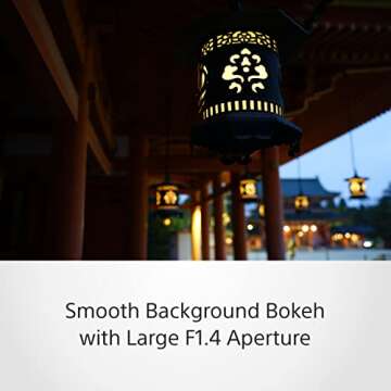 Sony Distagon T* 35mm f/1.4 Lens - Optical Excellence