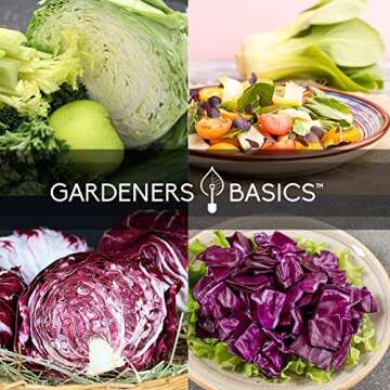 Gardeners Basics Cabbage Seeds Variety Pack for Home Gardens