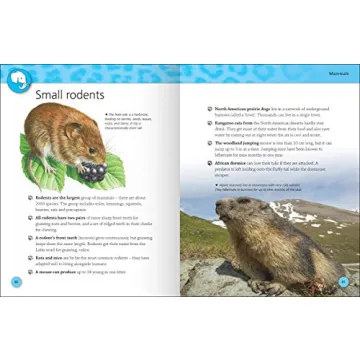 Explore the Animal Kingdom with Encyclopedia Of Animals