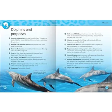 Explore the Animal Kingdom with Encyclopedia Of Animals