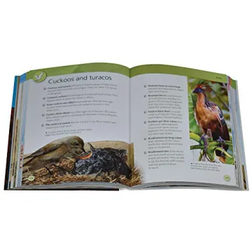 Explore the Animal Kingdom with Encyclopedia Of Animals
