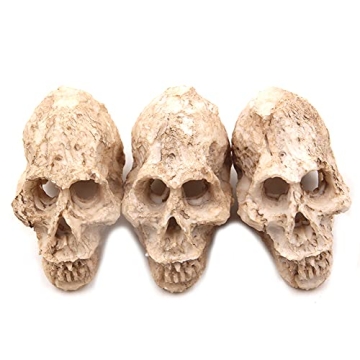 Shop Driak Decorative Skull Ornaments for Aquariums