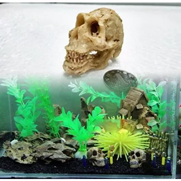 Shop Driak Decorative Skull Ornaments for Aquariums